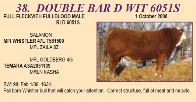 Double Bar D Wit 6051S